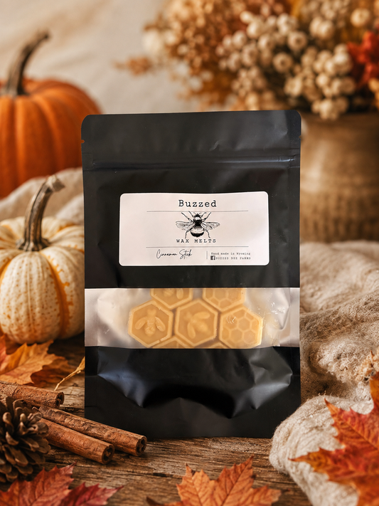 Cinnamon Stick Wax Melts